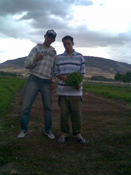 jawad